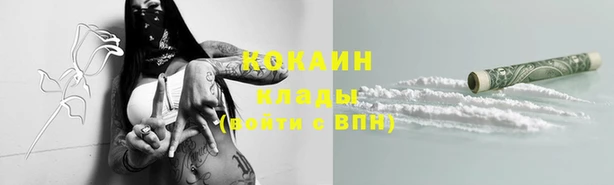 скорость Гусев