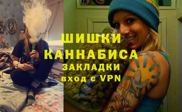скорость Гусев