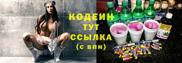 тгк Гусь-Хрустальный