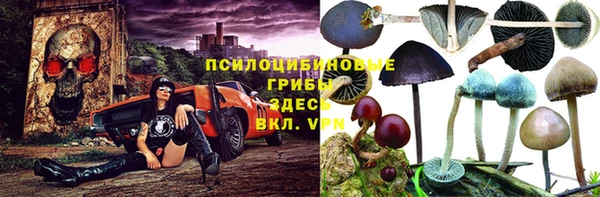 тгк Гусь-Хрустальный