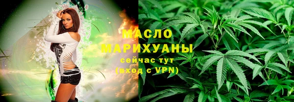 тгк Гусь-Хрустальный